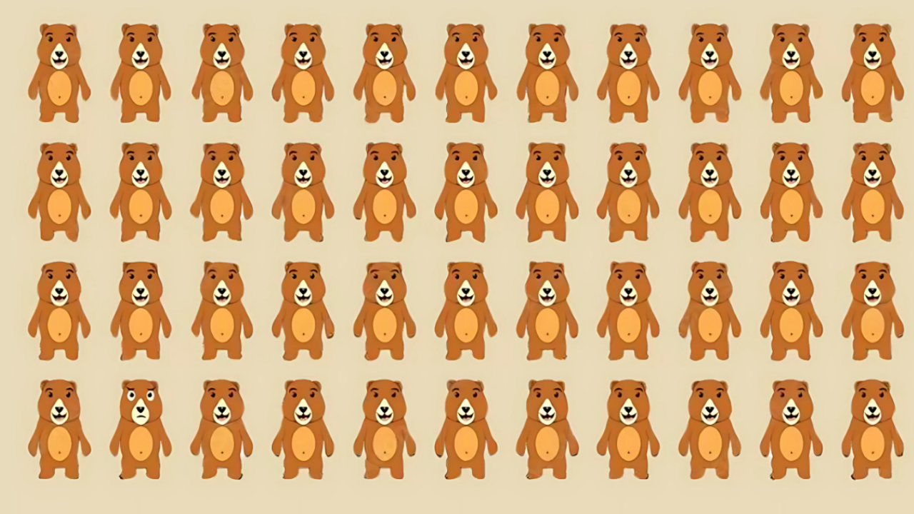 Optical Test Bear