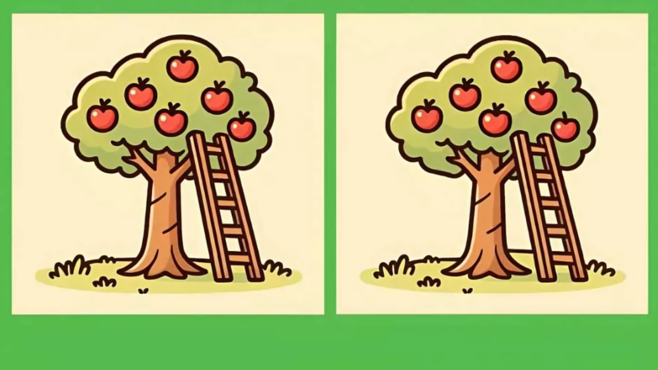 Apple Tree