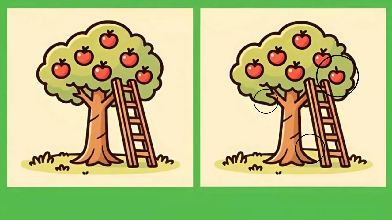 Apple Tree 