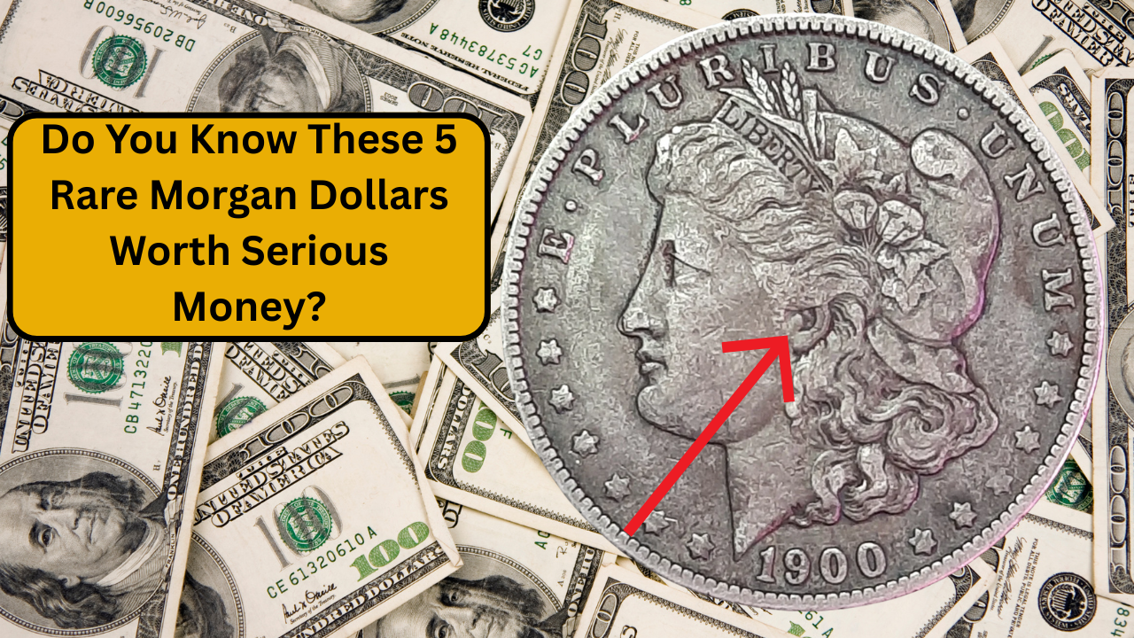 Morgan Dollars