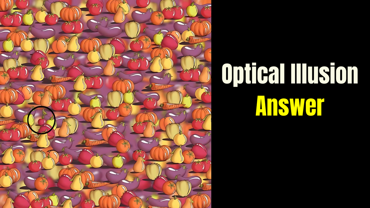 Optical Illusion Answer